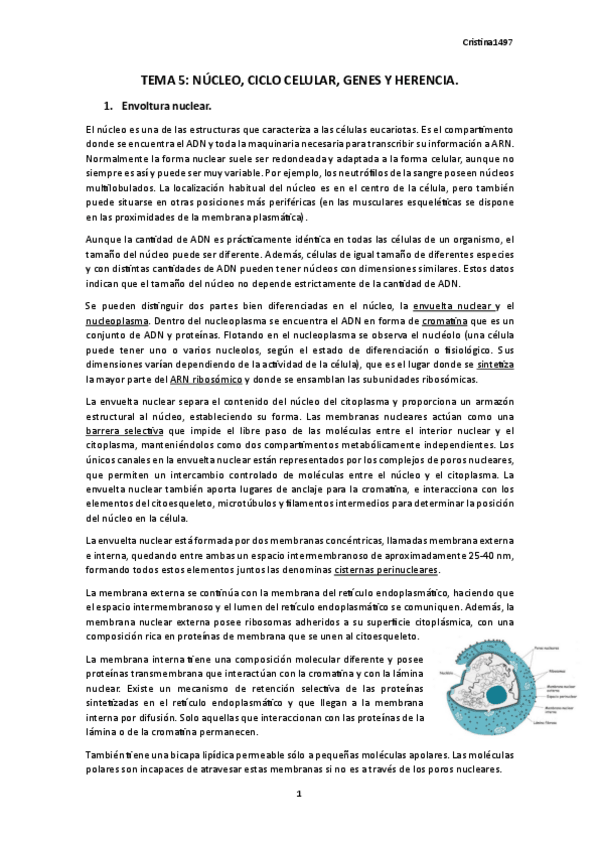 Miniatura del documento TEMA-5.-BIOLOGIA.pdf