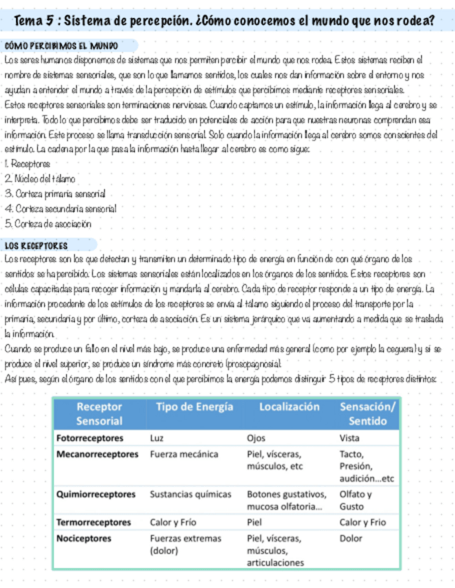 Miniatura del documento T5.-SISTEMA-DE-PERCEPCION.-COMO-CONOCEMOS-EL-MUNDO-QUE-NOS-RODEA.pdf