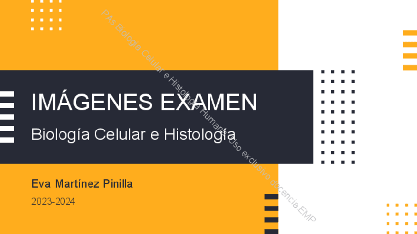 Miniatura del documento Imagenes-Examen-2024-Pablo-Senaris.pdf