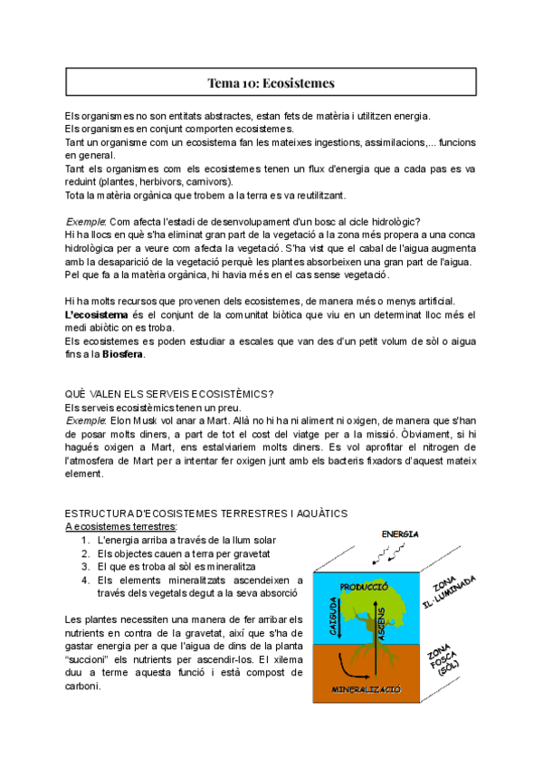 Miniatura del documento Tema-10-Ecosistemes.pdf