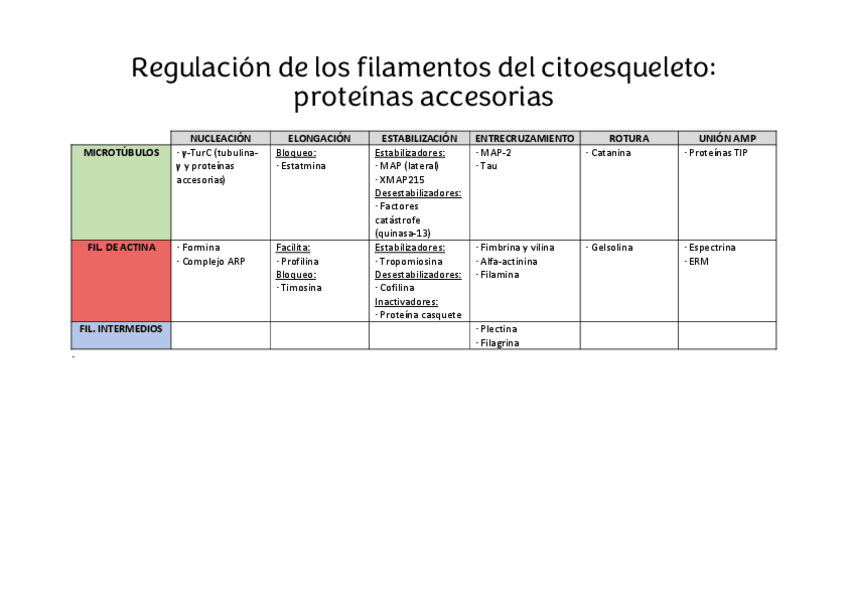Miniatura del documento Tabla-proteinas-accesorias-citoesqueleto.pdf