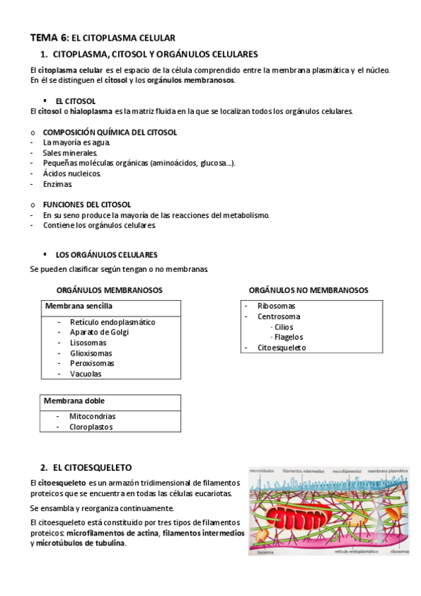 Miniatura del documento BIOLOGIA-TEMA-6-EL-CITOPLASMA-CELULAR.pdf