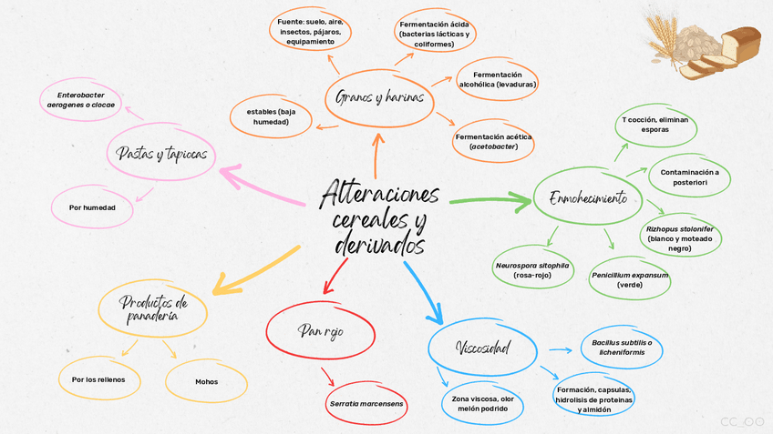 Miniatura del documento Alteraciones.pdf