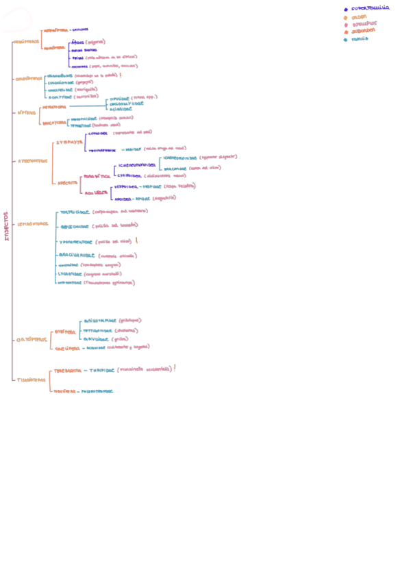 Miniatura del documento Apuntes-proteccion-FAMILIAS.pdf