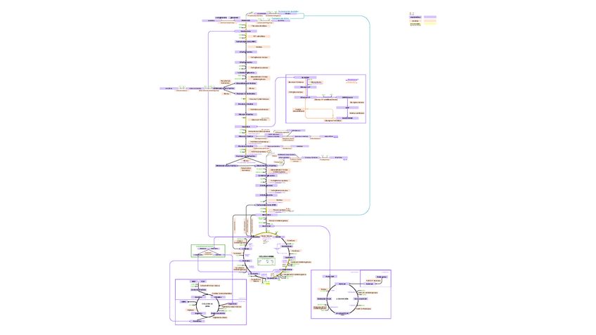 Miniatura del documento rutas metabòlicas.pdf