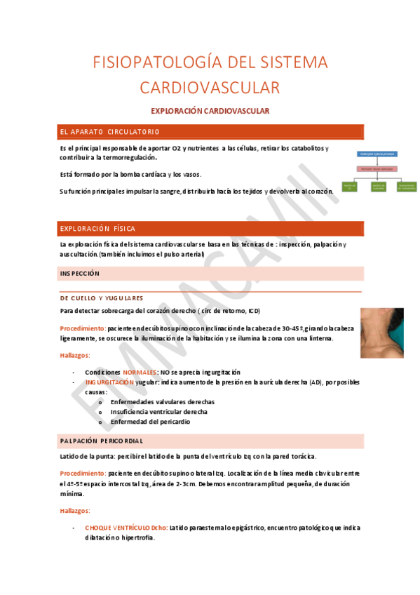 Miniatura del documento FISIOPATOLOGIA-DEL-SISTEMA-CARDIOVASCULAR.pdf
