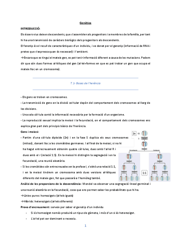 Miniatura del documento Genetica-P1.pdf