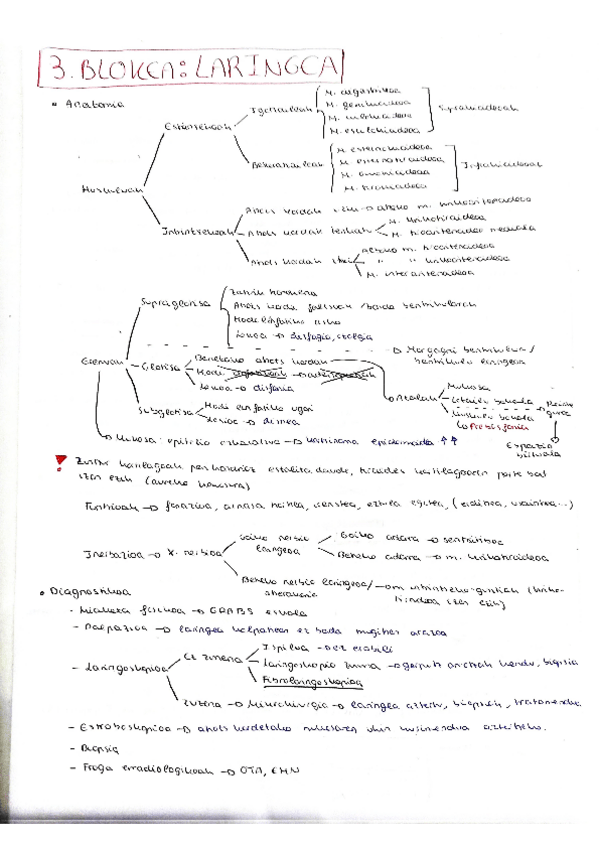 Miniatura del documento Laringearen-patologia (2023-2024).pdf