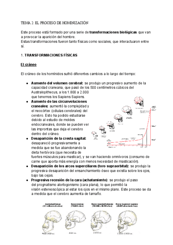 Miniatura del documento Tema-2.-El-proceso-de-hominizacion.pdf