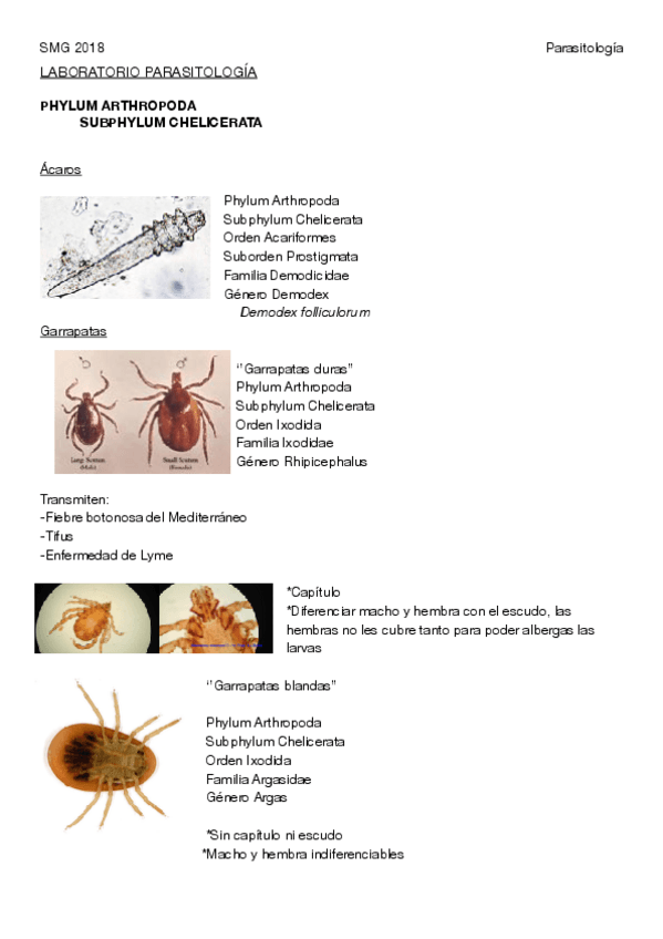 Miniatura del documento LAB PARASITOLOGIA ANEXO COMPLETO.pdf