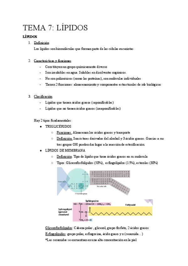 Miniatura del documento Temario-bioquimica-t7-t10.pdf