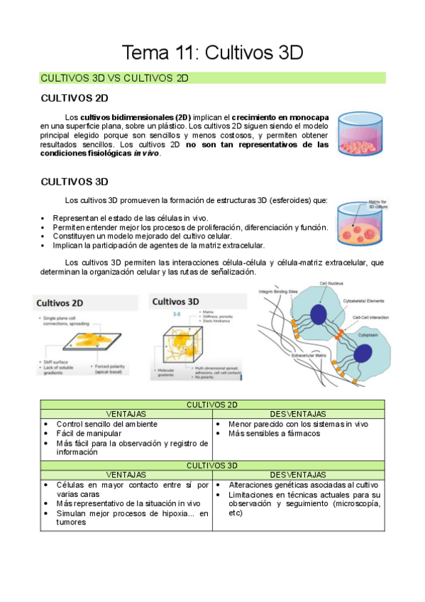 Miniatura del documento Tema-11-CULT.pdf
