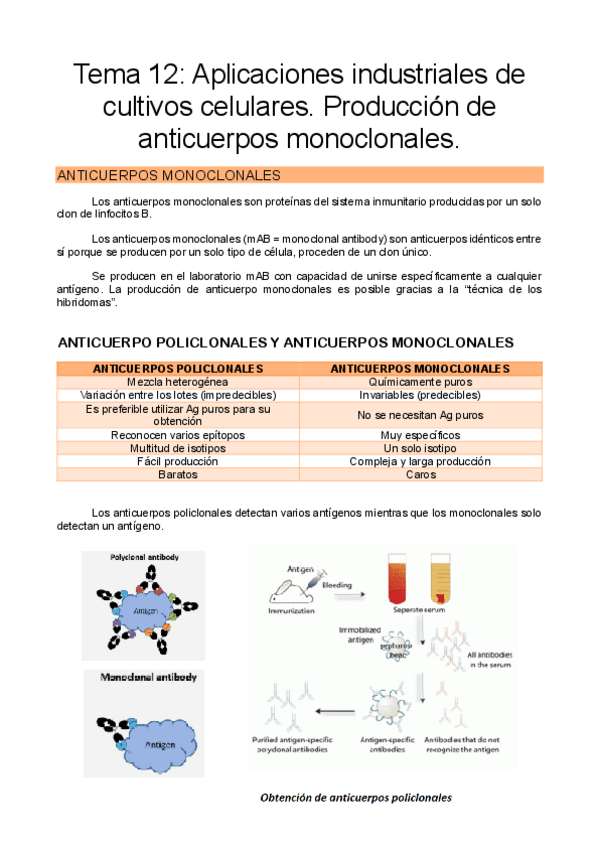 Miniatura del documento Tema-12-CULT.pdf