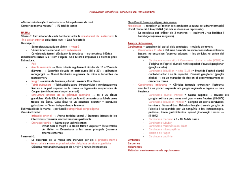 Miniatura del documento Patologies-mamaries.pdf