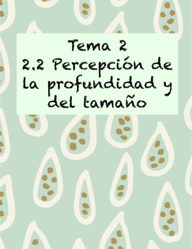 Miniatura del documento Percepcion-2.2.pdf