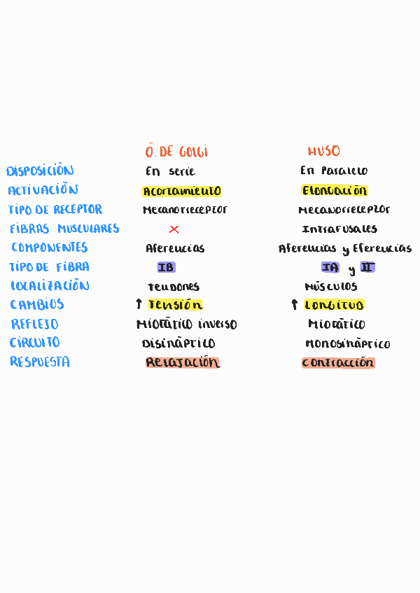 Miniatura del documento Tabla-comparativa-organo-de-golgi-y-huso.pdf