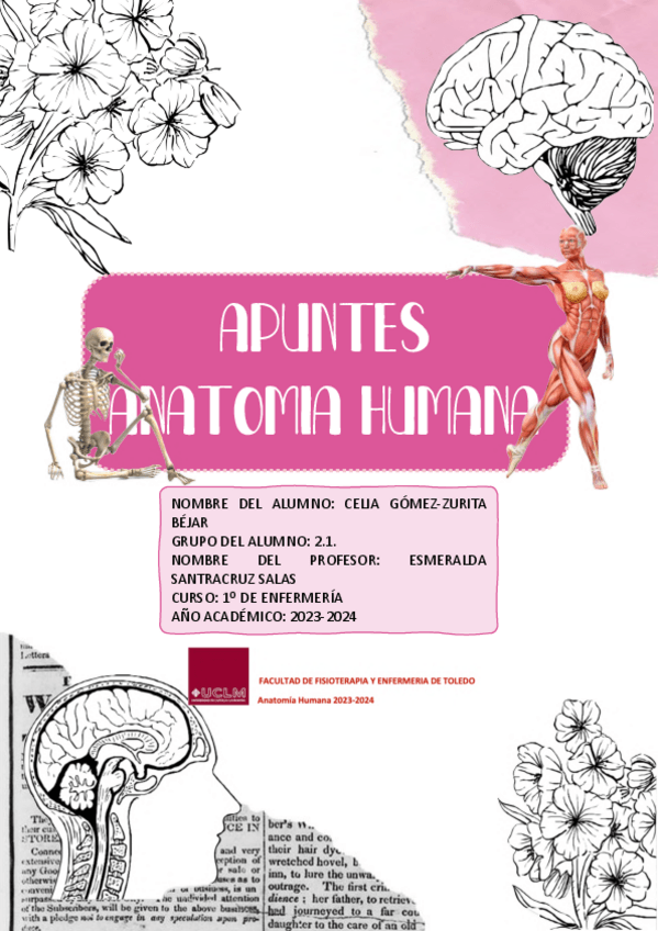 Miniatura del documento APUNTES-ANATOMIA-CELIA.pdf