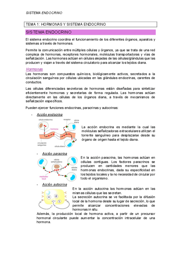 Miniatura del documento TEMA-1-hormonas.pdf