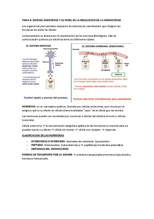 Miniatura del documento TEMA-8-SISTEMA-ENDOCRINO.pdf