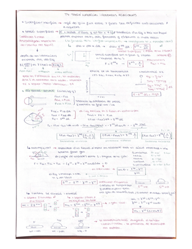 Miniatura del documento Resum-2nP.pdf