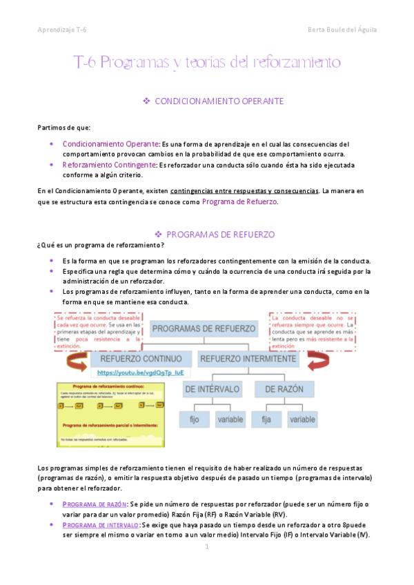 Miniatura del documento T-6-Programas-y-teorias-del-reforzamiento.pdf