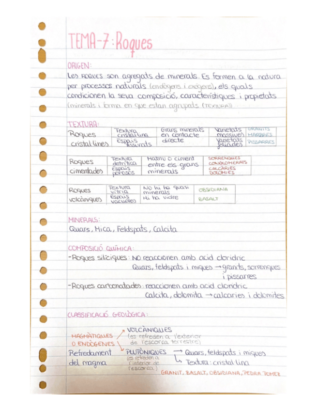 Miniatura del documento Tema-7-Roques.pdf