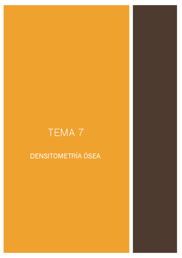 Miniatura del documento RE-tema-7.pdf