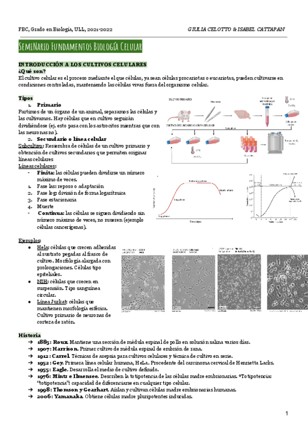 Miniatura del documento FBC-Seminarios.pdf