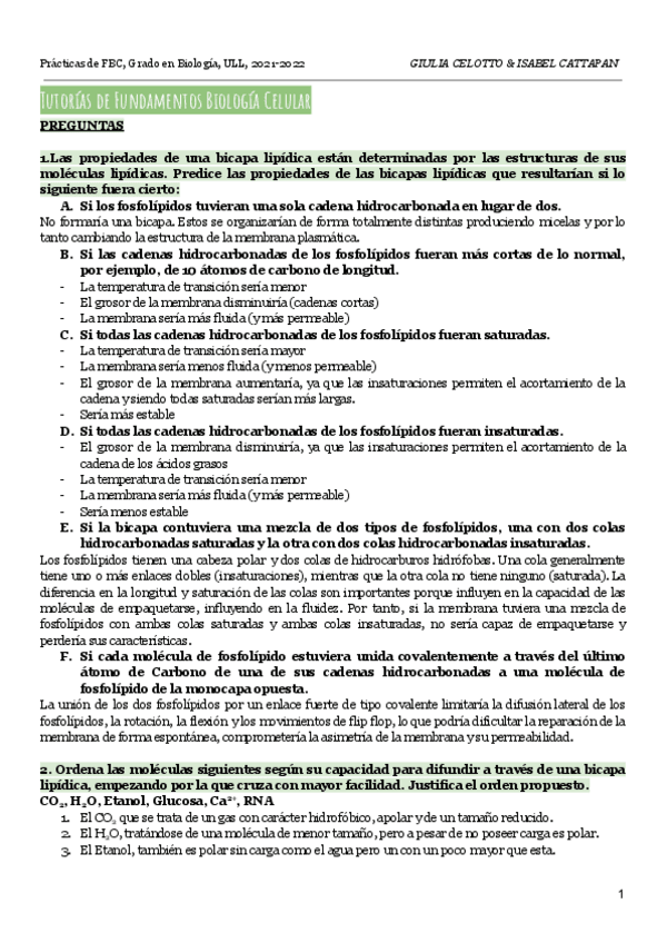 Miniatura del documento FBC-Tutorias.pdf