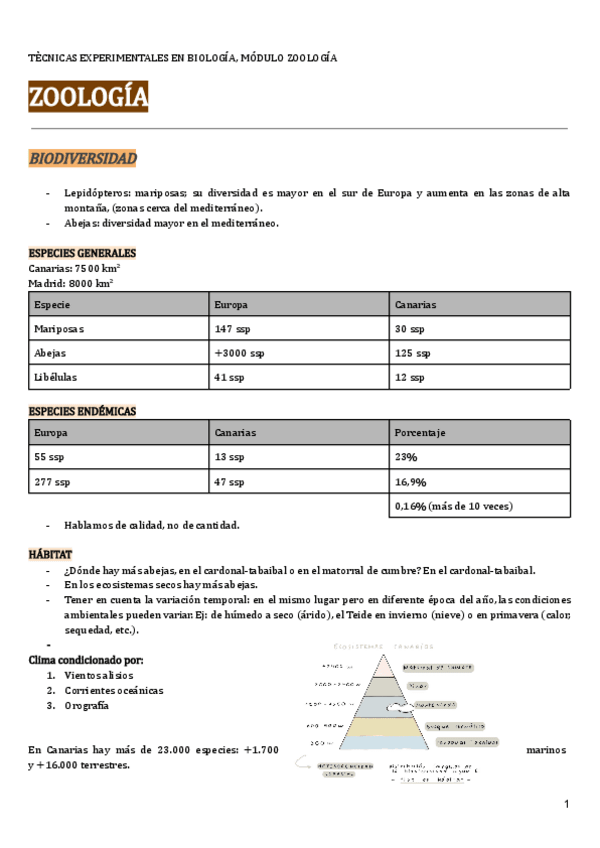 Miniatura del documento ZOOLOGIA-APUNTES.pdf