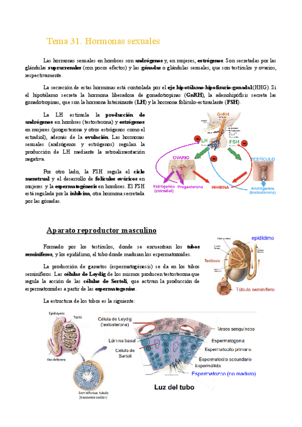 Miniatura del documento Tema-31.-Hormonas-Sexuales.pdf