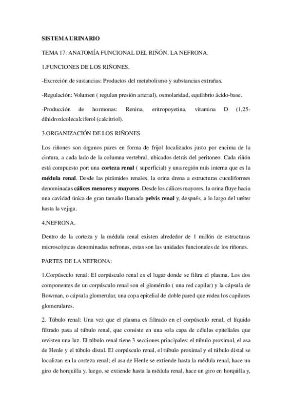 Miniatura del documento SISTEMA-URINARIO-apuntes.pdf