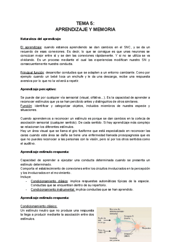Miniatura del documento Tema-5-Aprendizaje-y-memoria.pdf