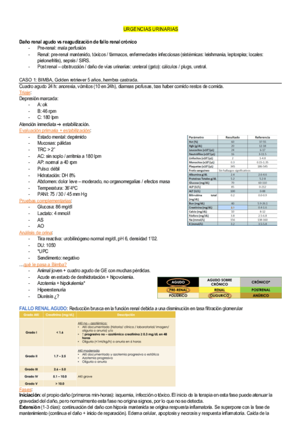 Miniatura del documento urinarias.pdf