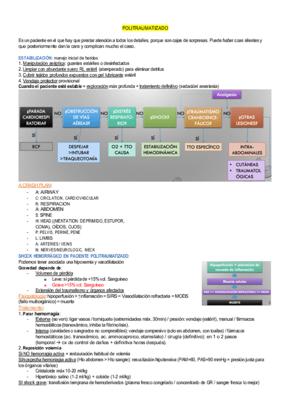 Miniatura del documento politrauma.pdf