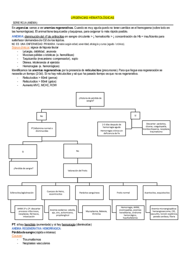 Miniatura del documento hematologicas.pdf