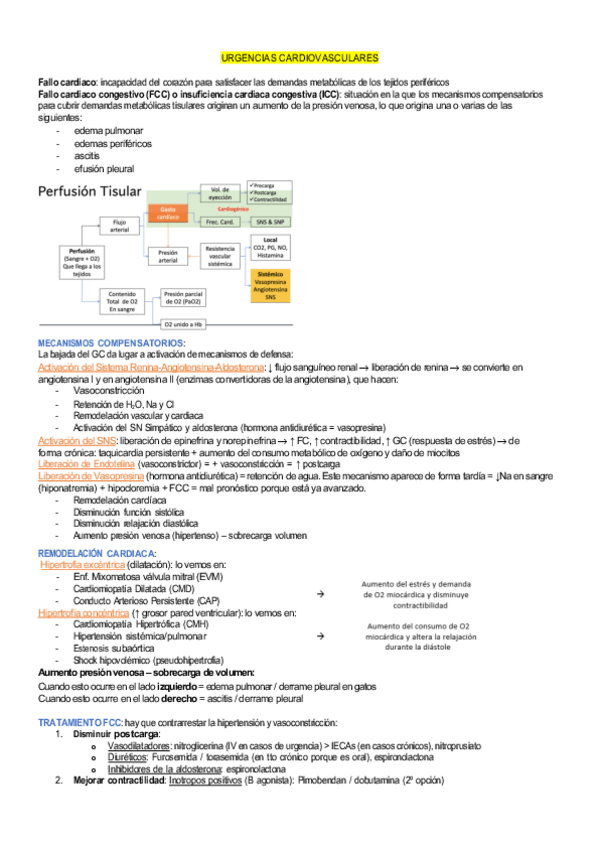 Miniatura del documento cardiovasculares.pdf