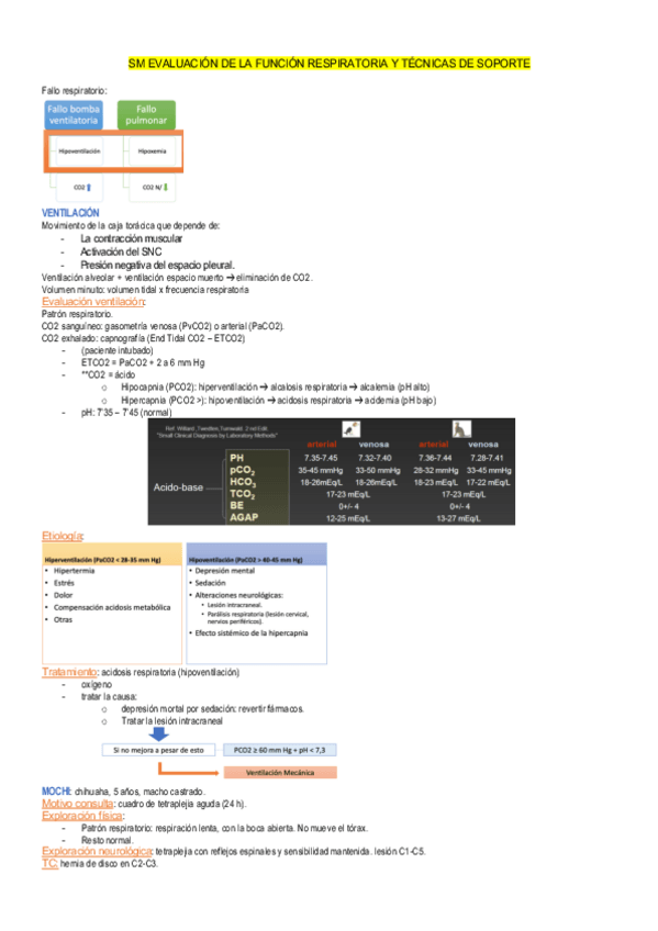 Miniatura del documento sm-evaluacion-de-la-funcion-respiratoria-y-tecnicas-de-soporte.pdf