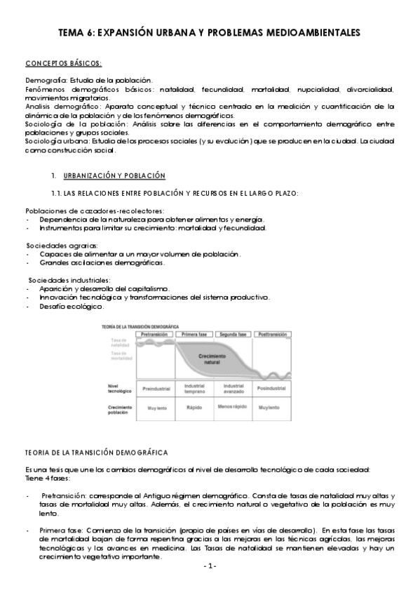 Miniatura del documento Apuntes-T6.pdf