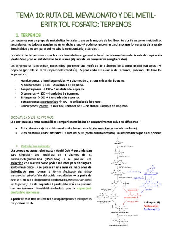 Miniatura del documento TEMA-10-Ruta-del-mevalonato-y-del-metil-eritritol-fosfato-terpenos.pdf
