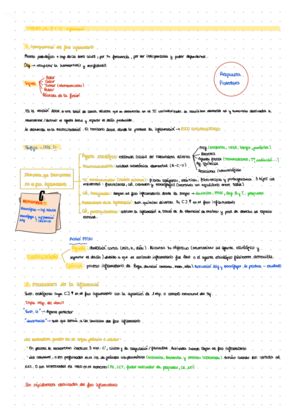 Miniatura del documento LECCION-121314-INFLAMACION.pdf