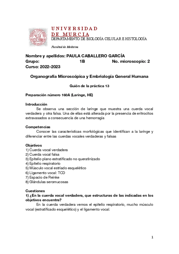 Miniatura del documento Guion-practica-13-COMPLETA.pdf