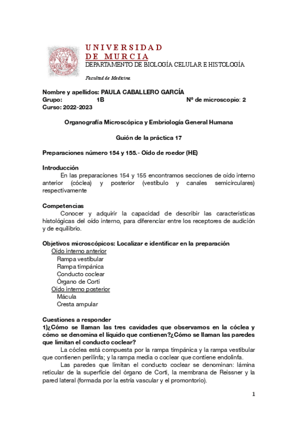 Miniatura del documento Guion-practica-17-COMPLETO.pdf