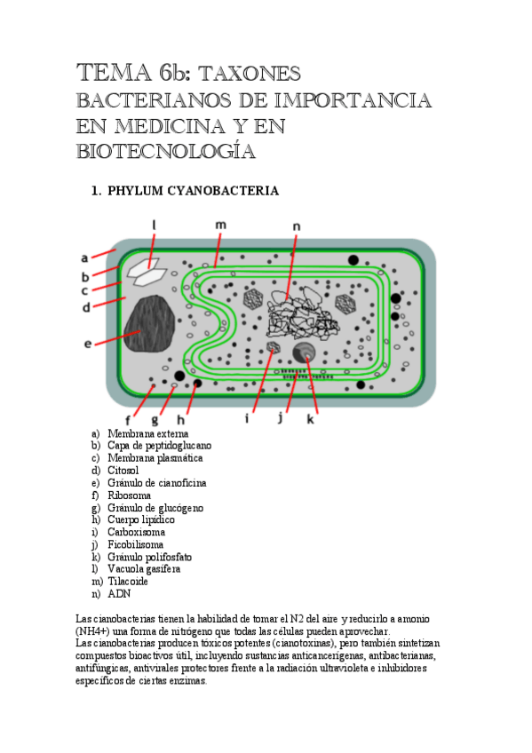 Miniatura del documento TEMA-6b.pdf