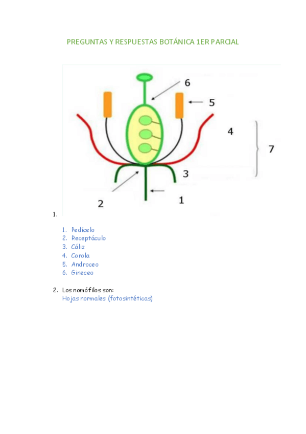 Miniatura del documento PREGUNTAS-Y-RESPUESTAS-BOTANICA-1ER-PARCIAL.pdf