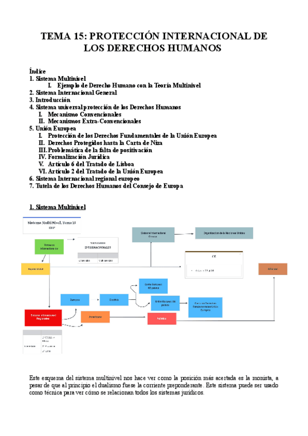 Miniatura del documento TEMA-15-PROTECCION-INTERNACIONAL-DE-LOS-DERECHOS-HUMANOS.pdf