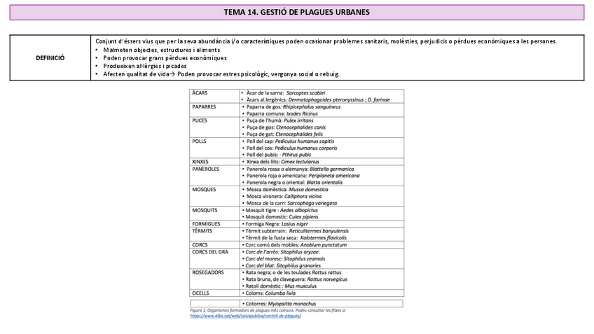 Miniatura del documento ESQUEMA.tema-14.-gestio-plagues.pdf