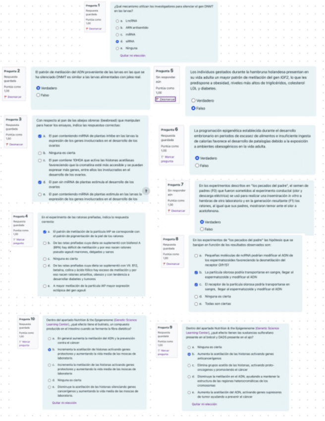 Miniatura del documento Seminario-2.pdf