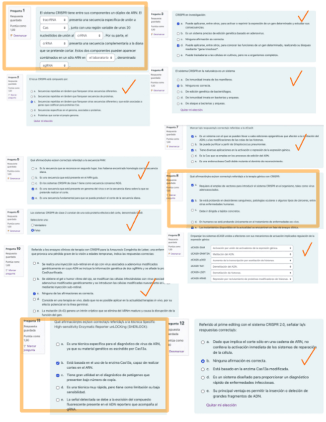 Miniatura del documento Seminario-1.pdf