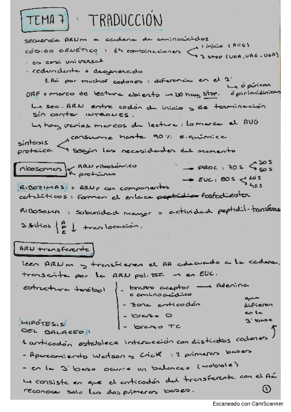 Miniatura del documento esquema-TEMA-7-bioquimica.pdf